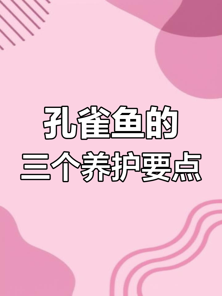 养孔雀鱼必知三大禁忌,避免低温、频繁换水