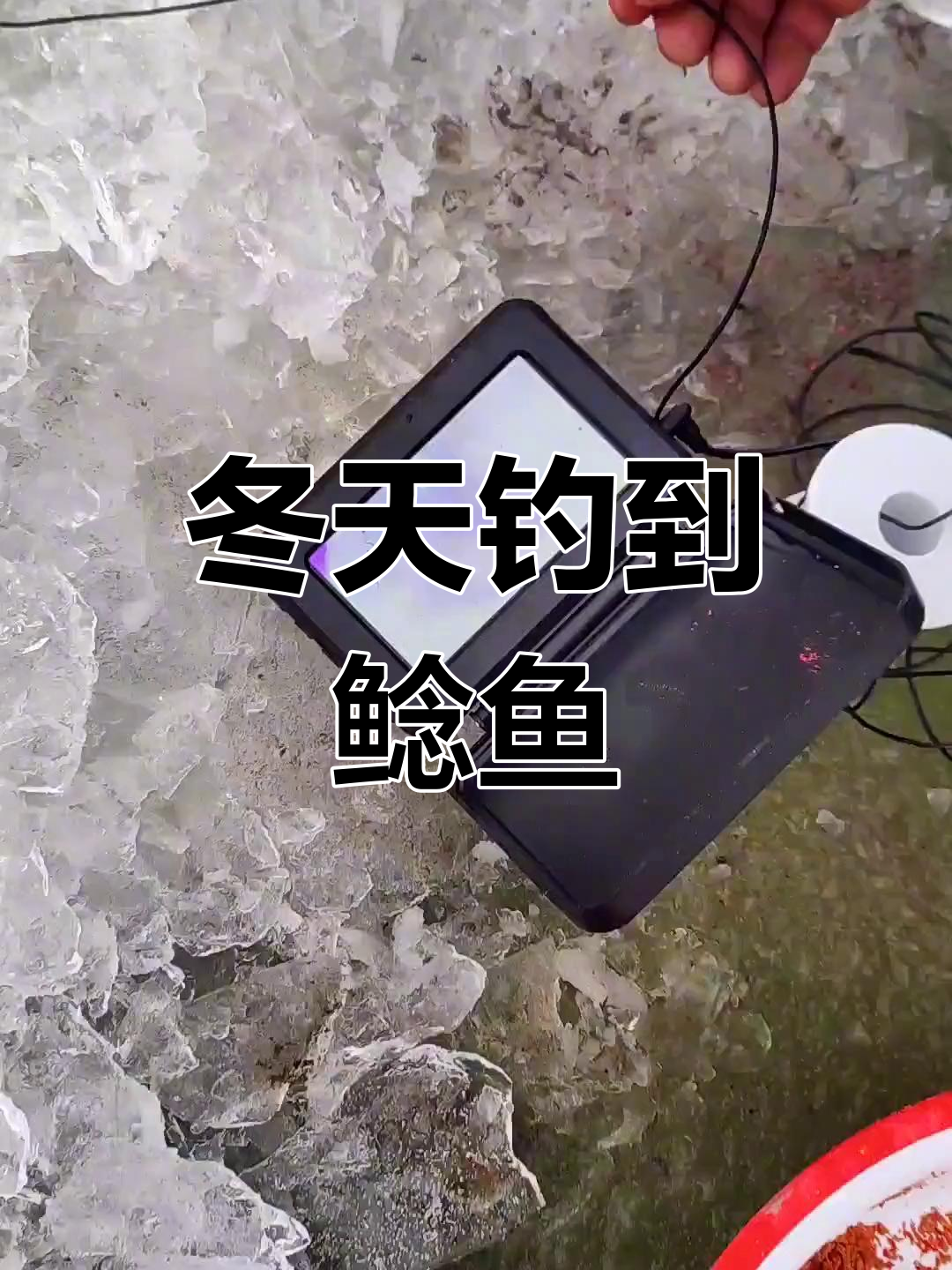 冬季冰钓意外发现鲶鱼,不吃东西也能钓鱼