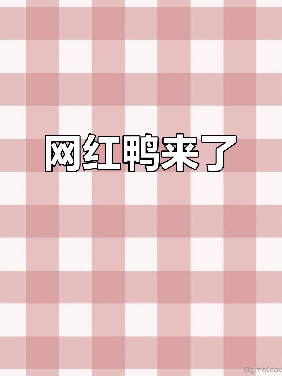 网红鸭的魅力,你无法抗拒!
