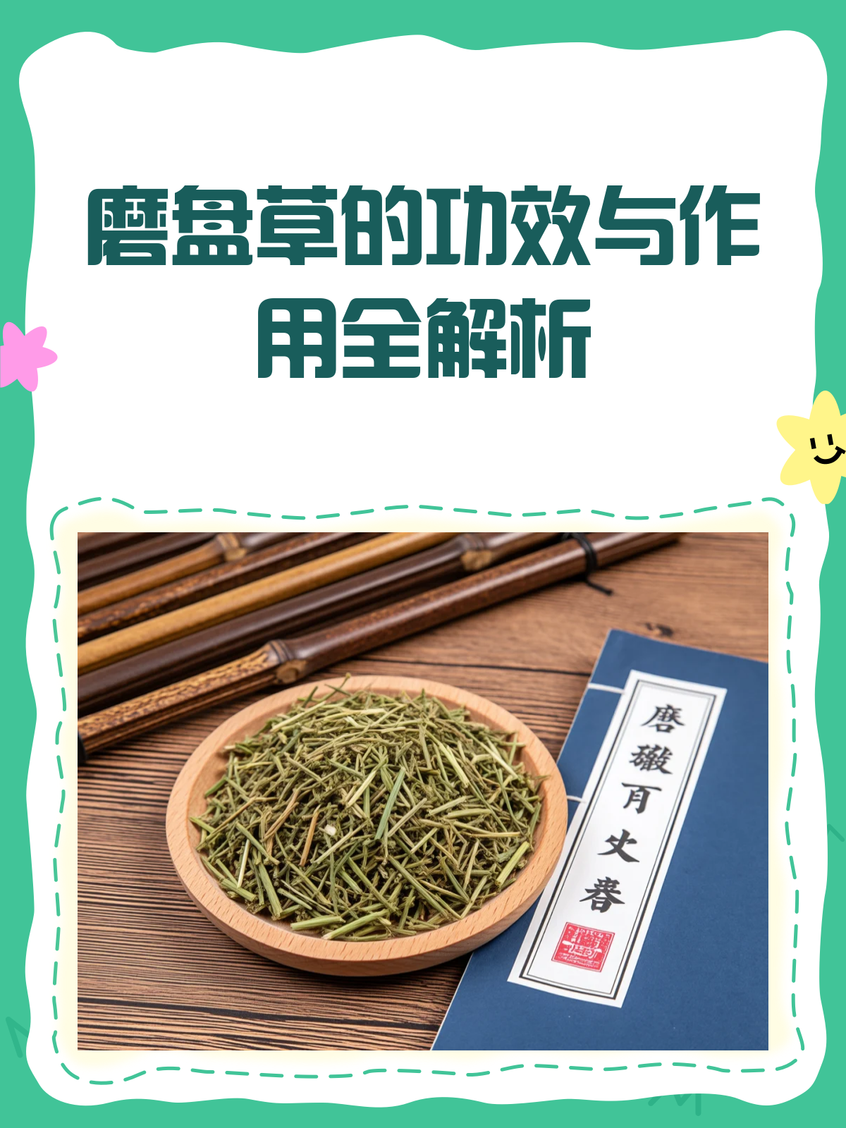 磨盘草:清热解毒、化痰止咳的良药!