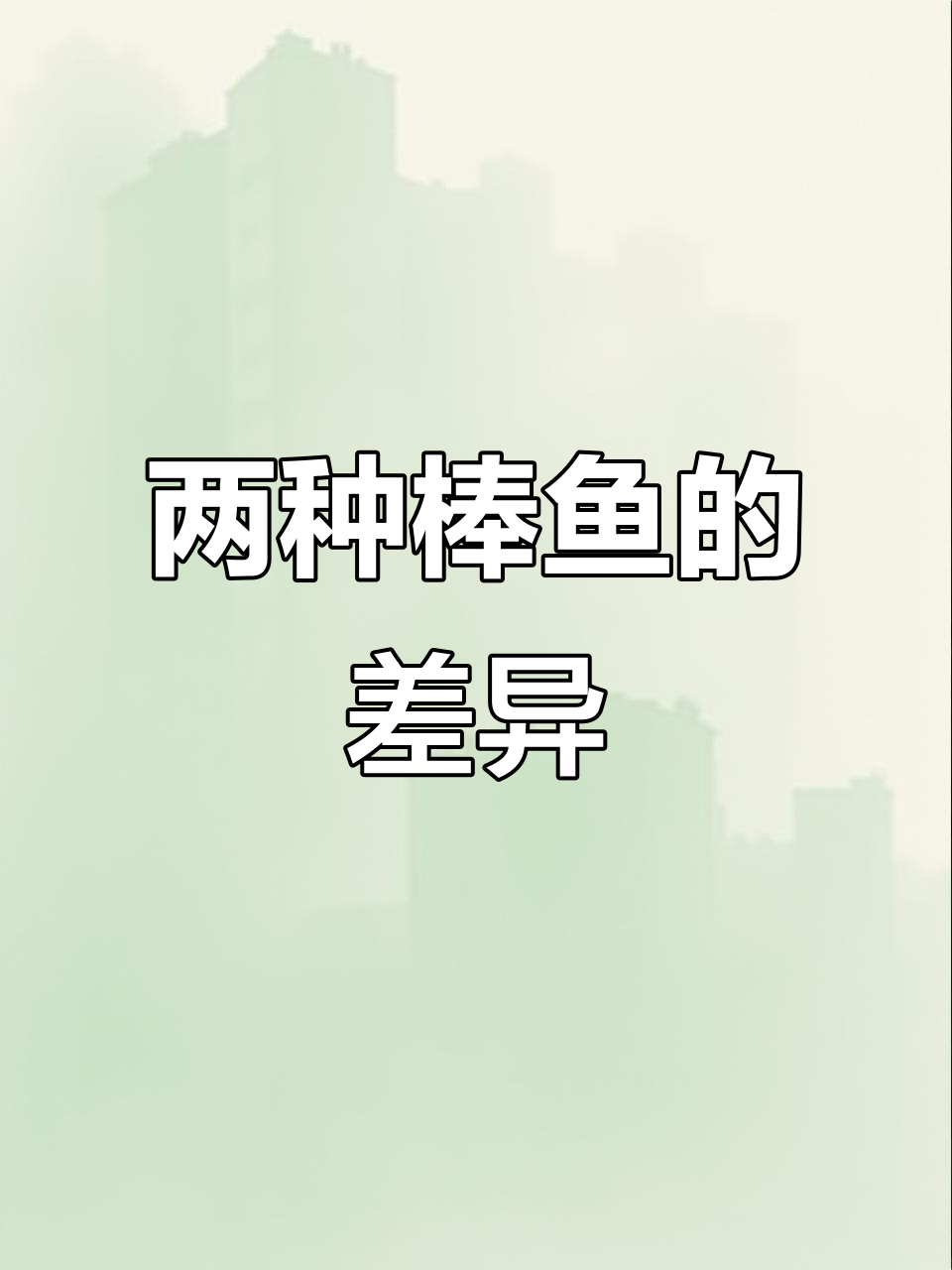 青龙棒与油鱼棒大比拼,外观价格全解析!