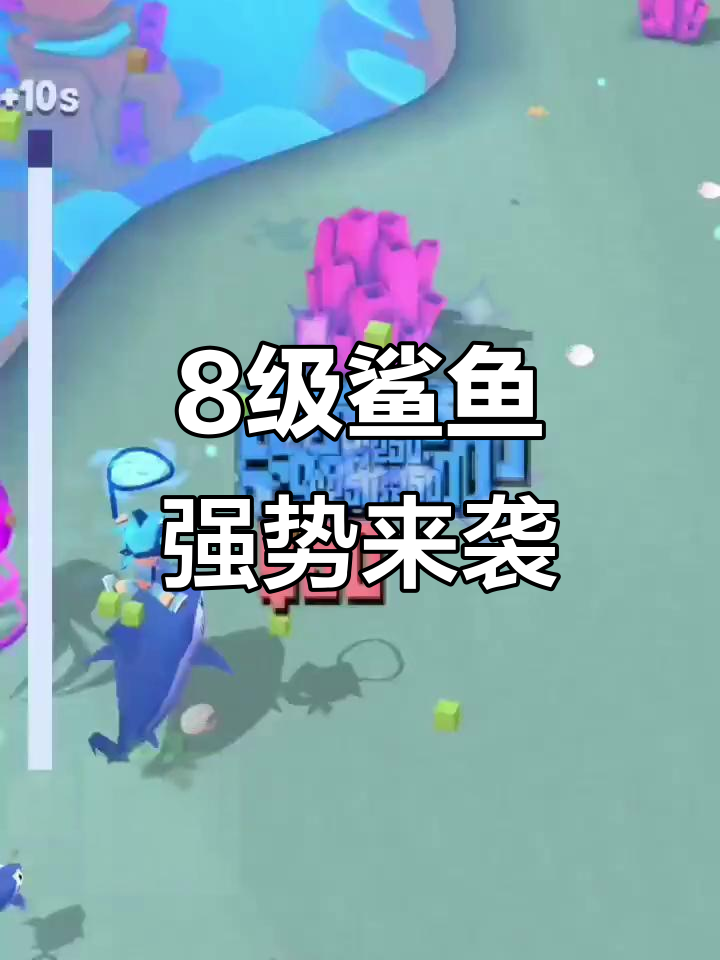 疯狂动物园海洋挑战:8级鲨鱼横行霸道,惊险瞬间大揭秘