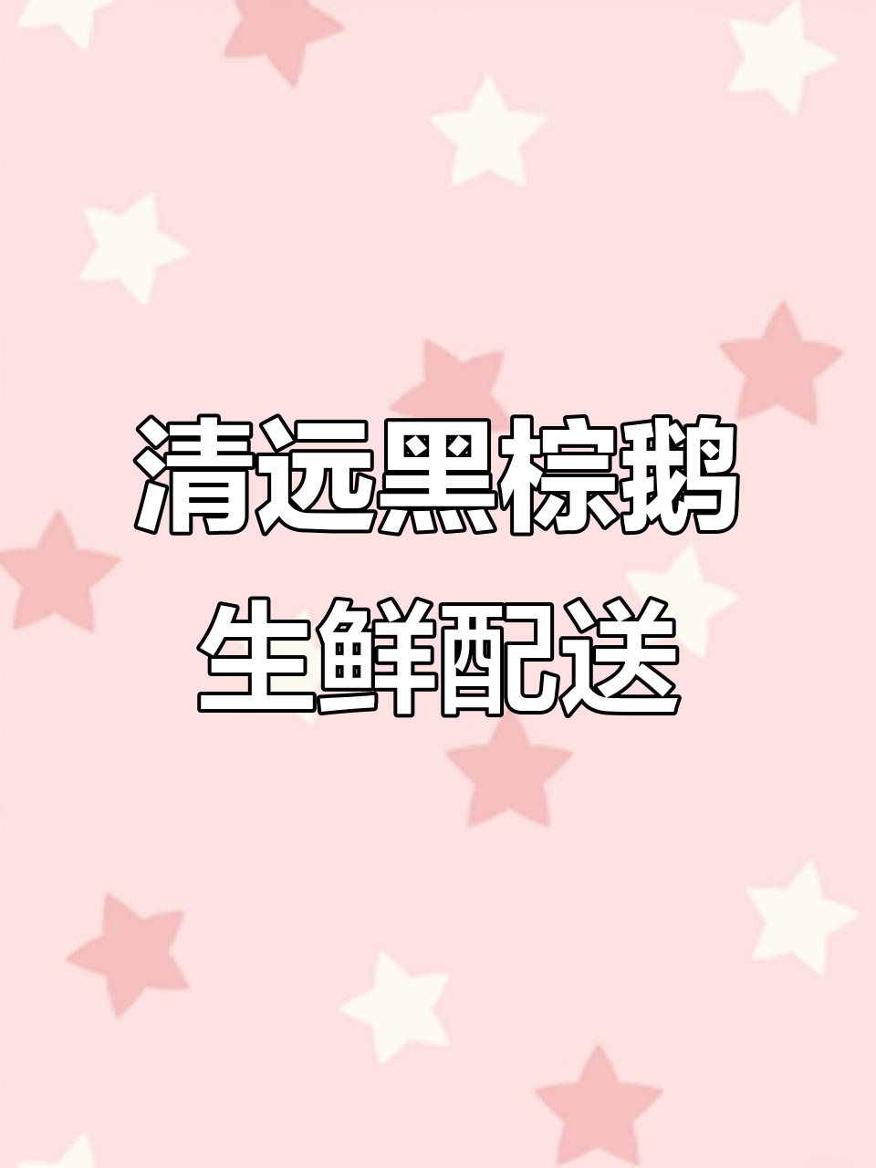 正宗清远黑棕鹅,生鲜配送全国发货