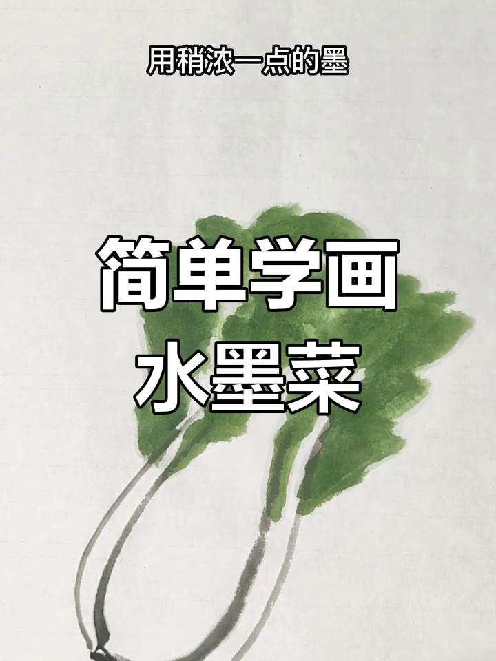 水墨大白菜画法解析