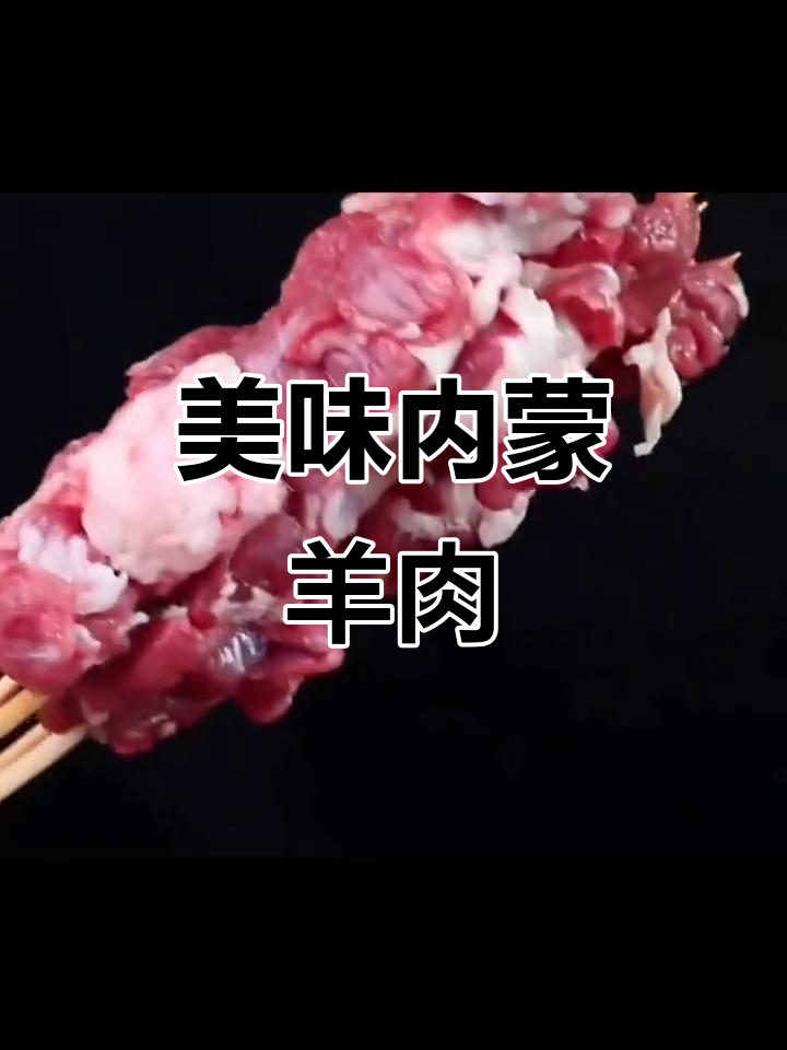 内蒙古羊肉串,新鲜正宗,空气炸锅轻松做烧烤