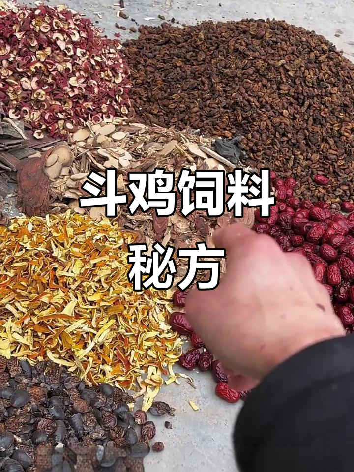 斗鸡饲料配方,仅供参考