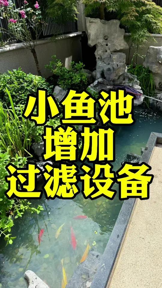 没有过滤系统的鱼池增加了全自动的过滤设备 这种没有过滤系统的鱼池具有普遍性,如果养普通鱼,