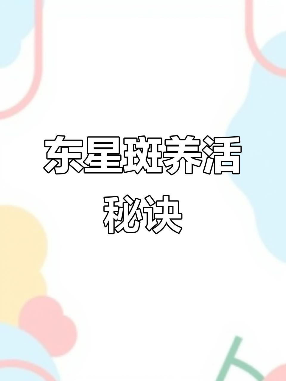 东星斑养殖技巧：掌握这些细节，延长存活时间