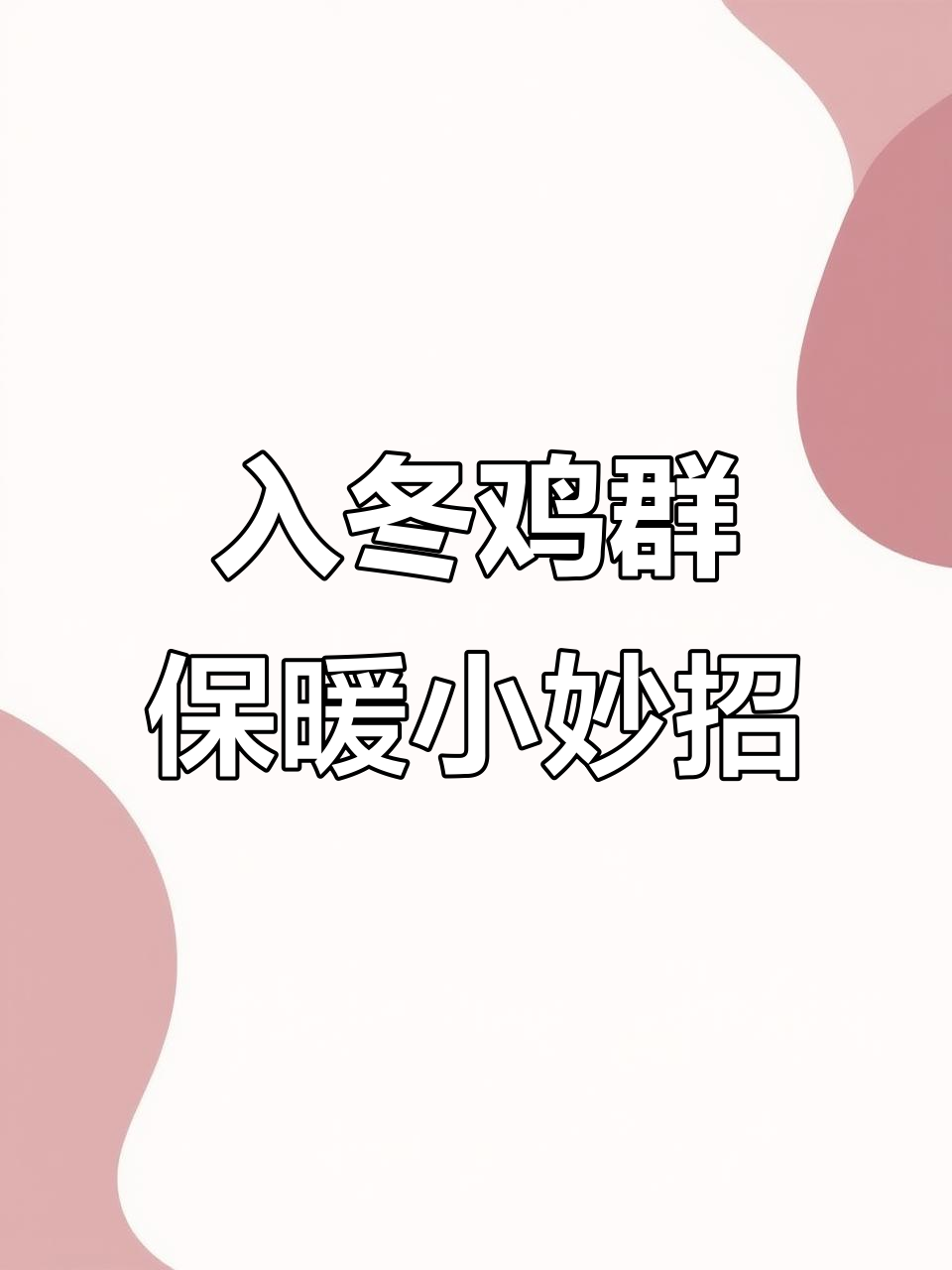 冬季散养鸡如何过冬？生姜大蒜土方帮你搞定