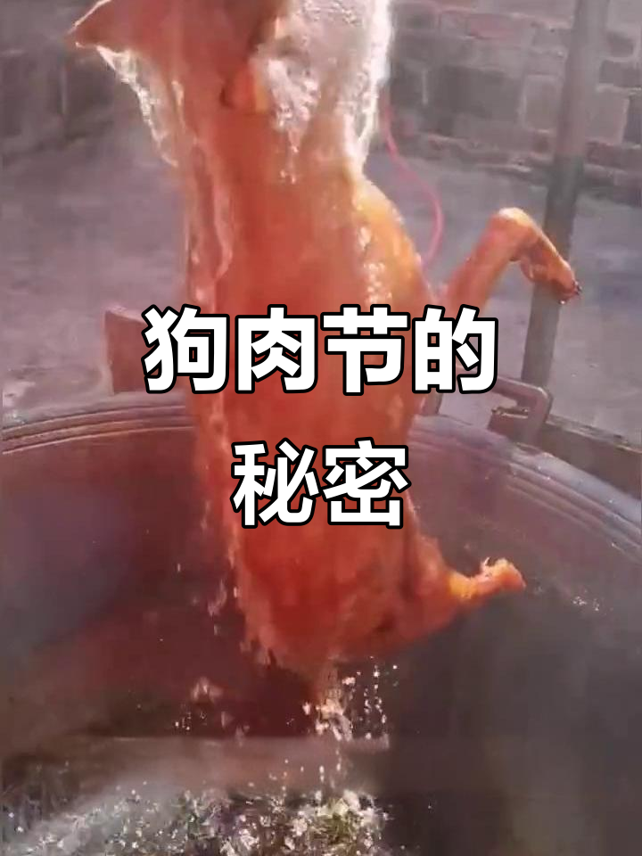 广西玉林狗肉节:夏至吃狗肉的神奇作用
