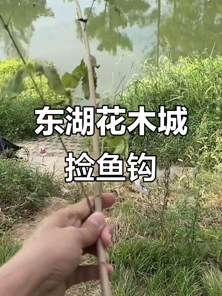 捡树枝做钓竿，东湖花木城钓鱼装备全靠“拾荒”
