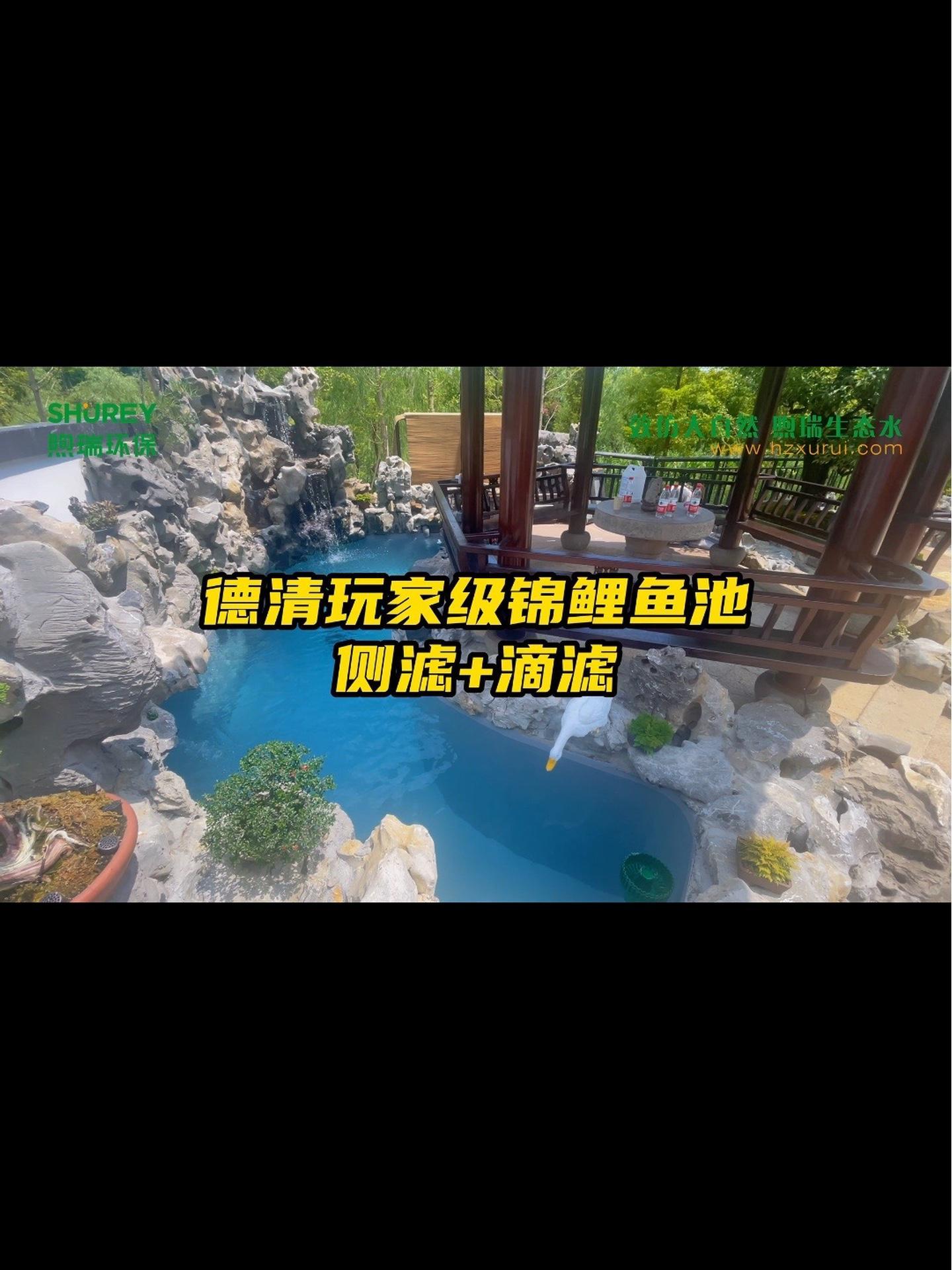 一分钟带你了解一下德清玩家级锦鲤鱼池建造过程,10平方的主池,采用6仓式侧滤4层滴滤,历时
