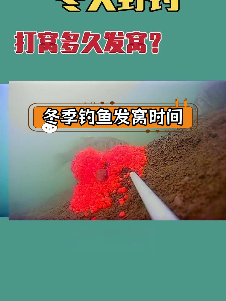 冬季野钓打窝时间揭秘,鲫鱼活动规律大曝光