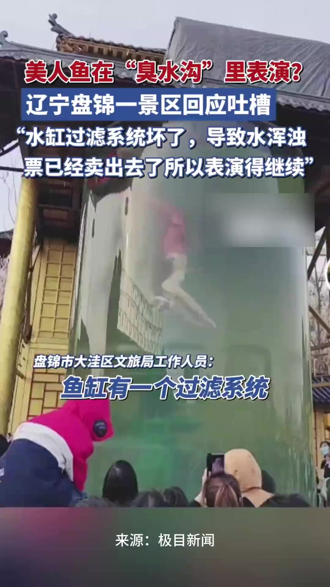 美人鱼在“臭水沟”里表演?景区回应:水缸过滤系统坏了,票已经卖出去所以要继续表演