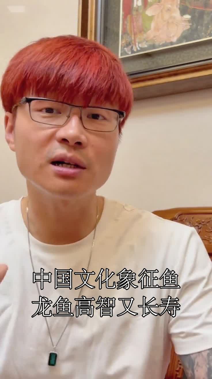 中国文化象征鱼龙鱼高智又长寿