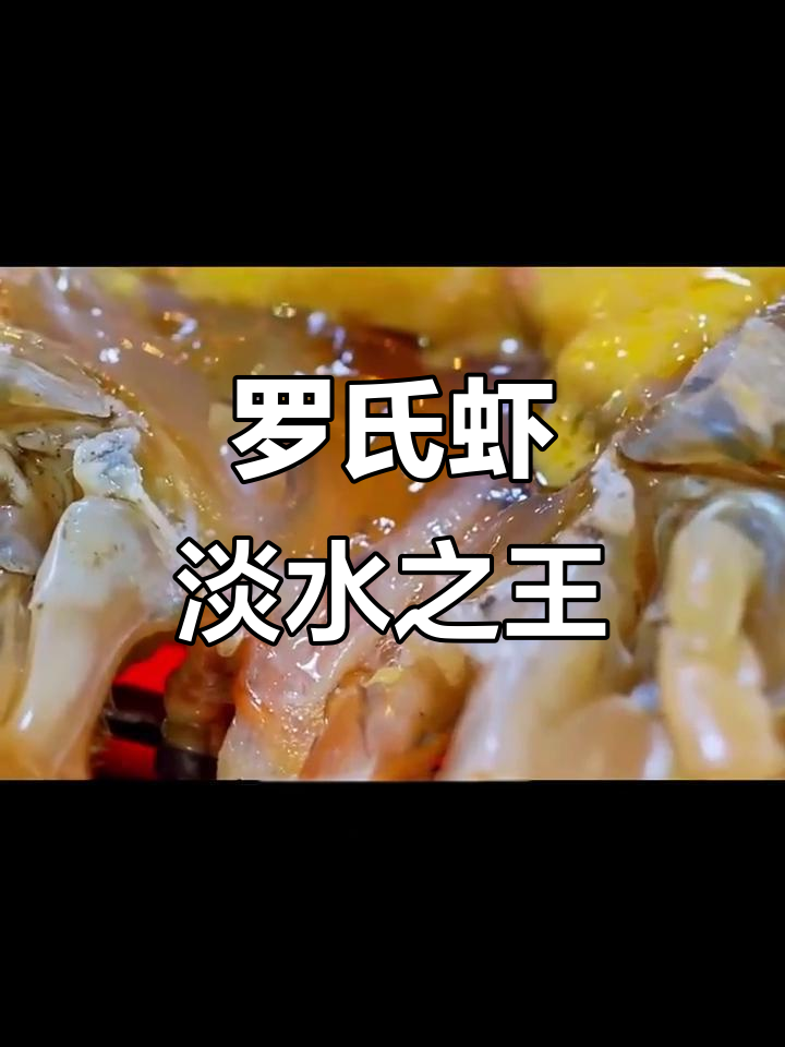 泰国夜市大虾,堪比奥龙!罗氏虾的独特做法与美味体验