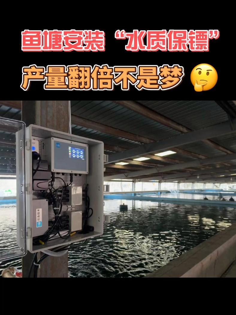 还在凭经验养鱼?智能水质监测让你秒变专家 鱼塘水质好坏,智能监测 “早知道” 高密度养鱼 
