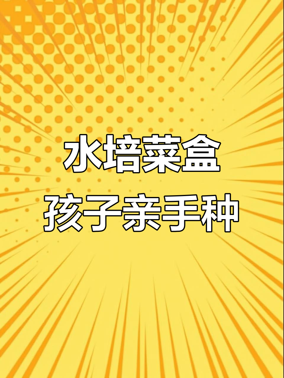 小朋友在家体验水培蔬菜,轻松种植、观察生长过程