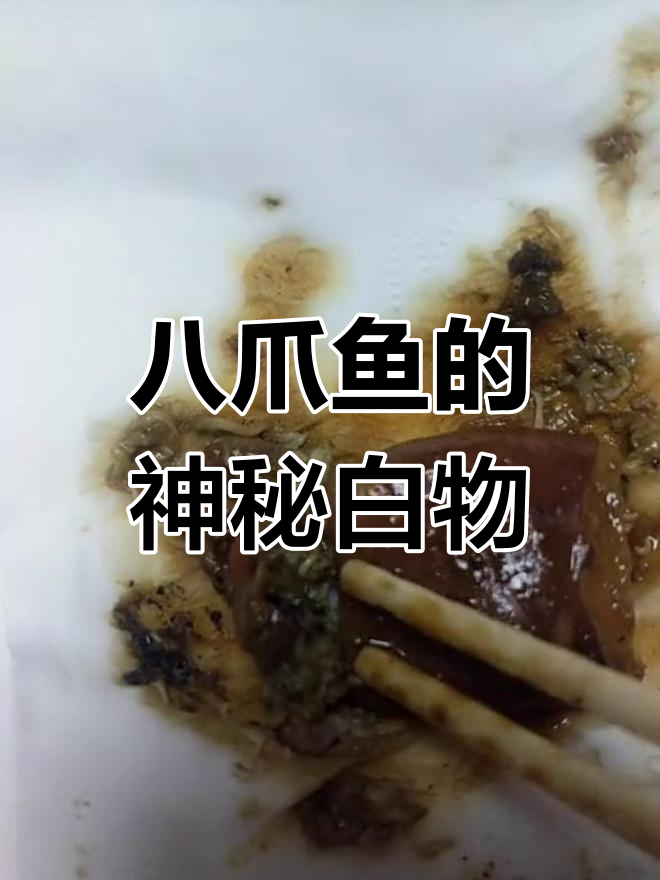 八爪鱼脑袋里的白色物体,是寄生虫吗?有点吓人!