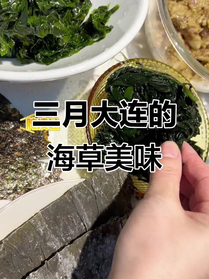 大连海菜包子与三月的海洋小草,味道鲜嫩不容错过