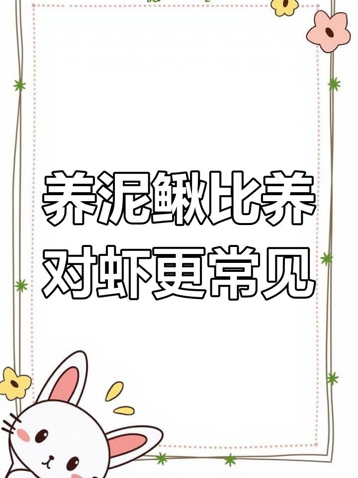广东养殖泥鳅,放弃对虾的高风险之路