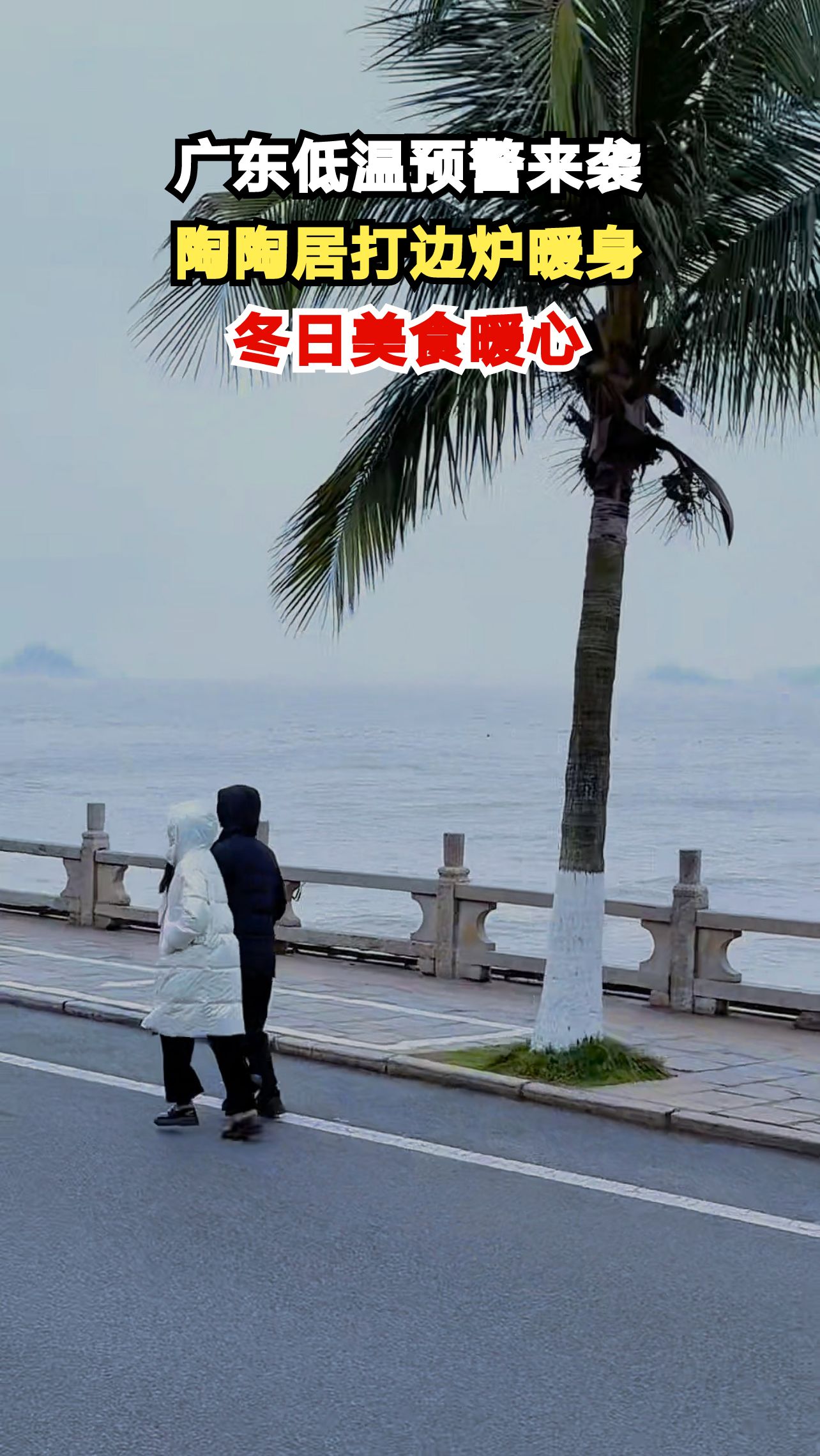 冷空气突袭广州,陶陶居三款鸡煲温暖你的冬天,你最爱哪一款?