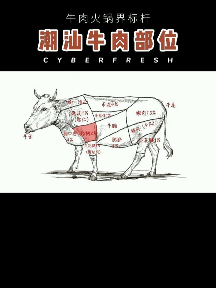 这一波对照 潮汕牛肉火锅与世界接轨了