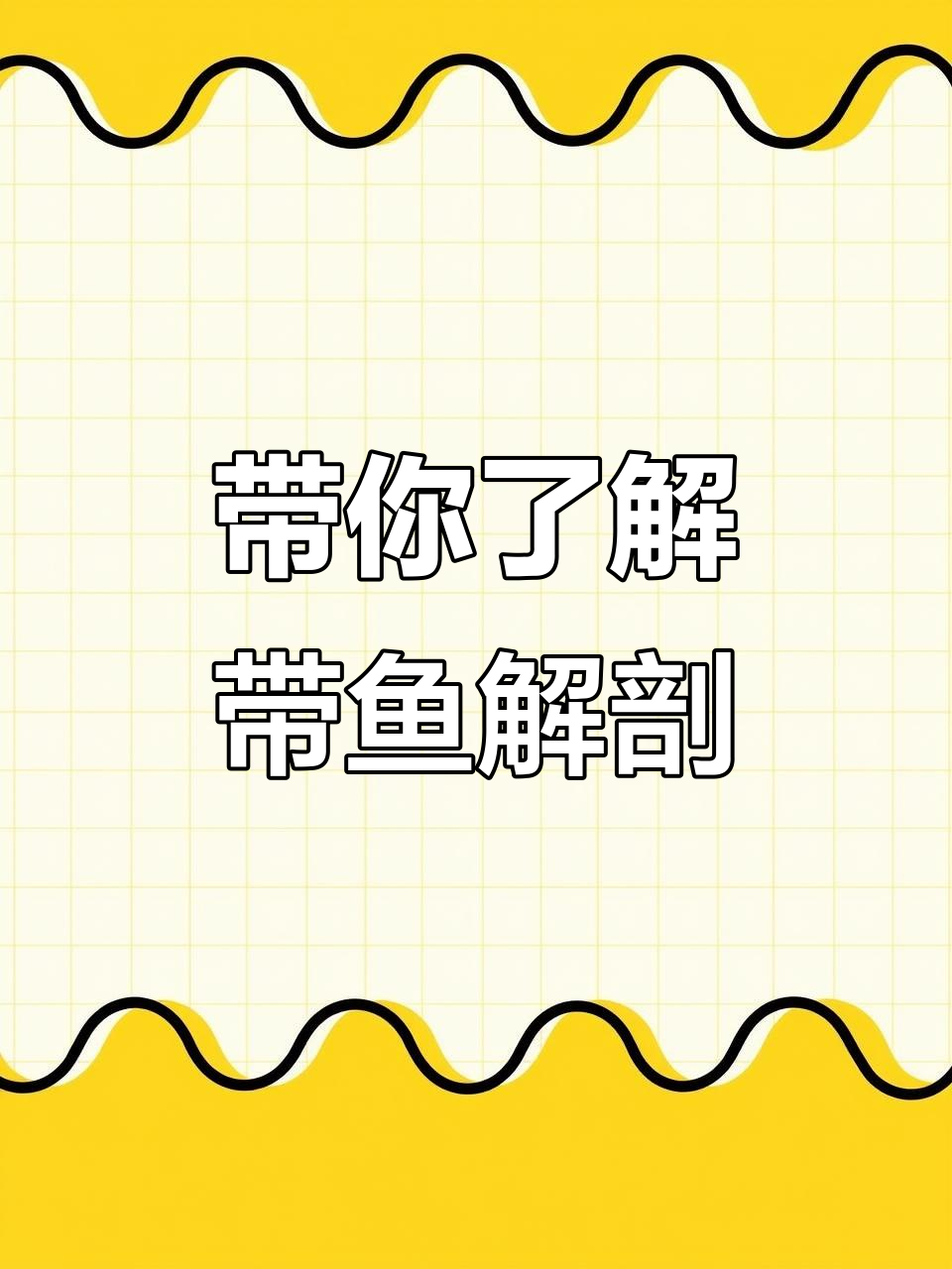 带鱼分解全过程,揭秘带鱼的内部结构