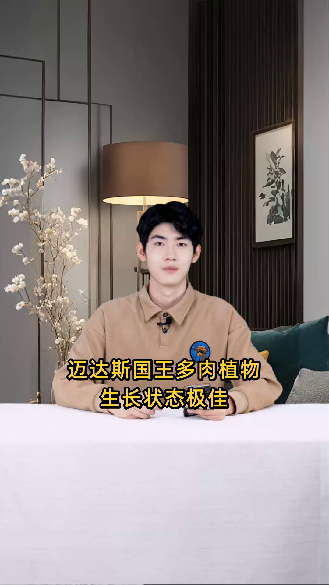 狮子王品种的多肉植物生长状态目前如何?是否健康?
