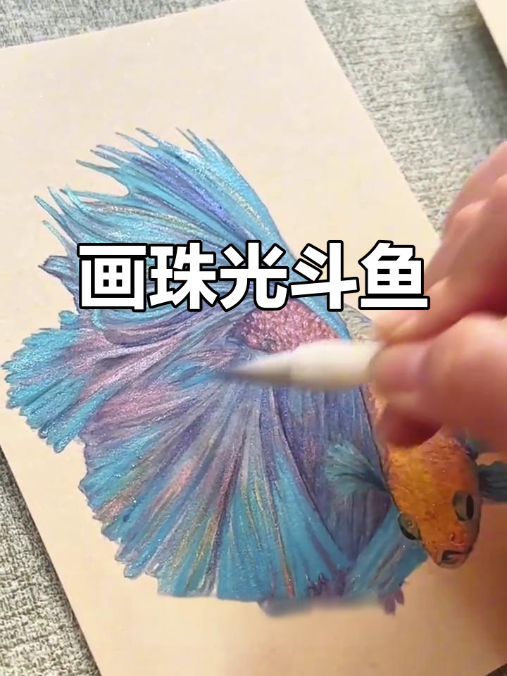 画出一条充满珠光魅力的治愈斗鱼，感受它的美丽与力量