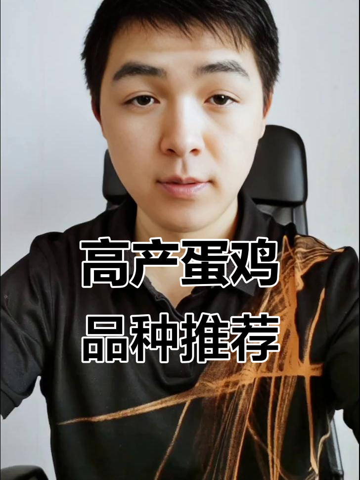 哪种蛋鸡品种最能提高经济效益?推荐三种高产蛋种