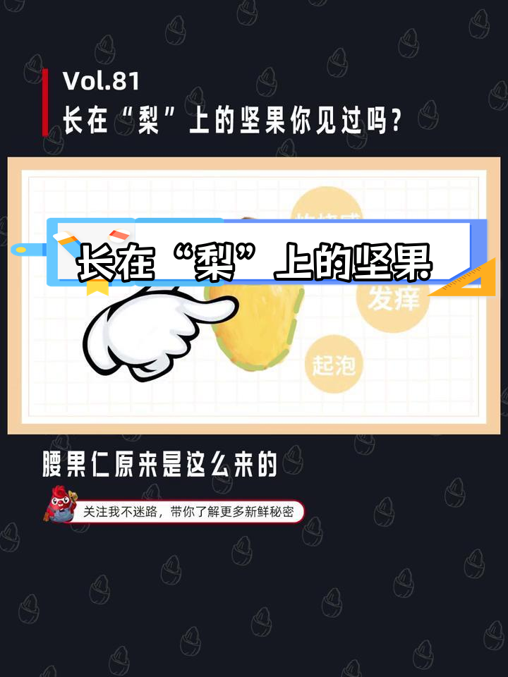 腰果梨的独特生长与加工过程