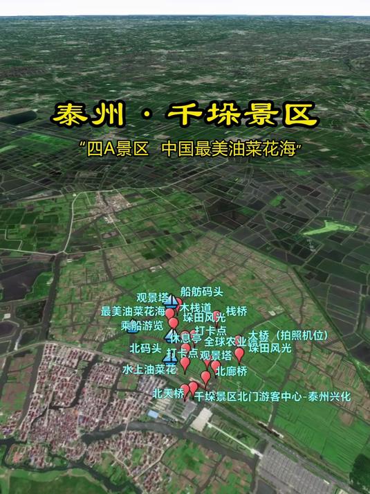 泰州·千垛景区“四A景区 中国最美油菜花海” #千垛景区