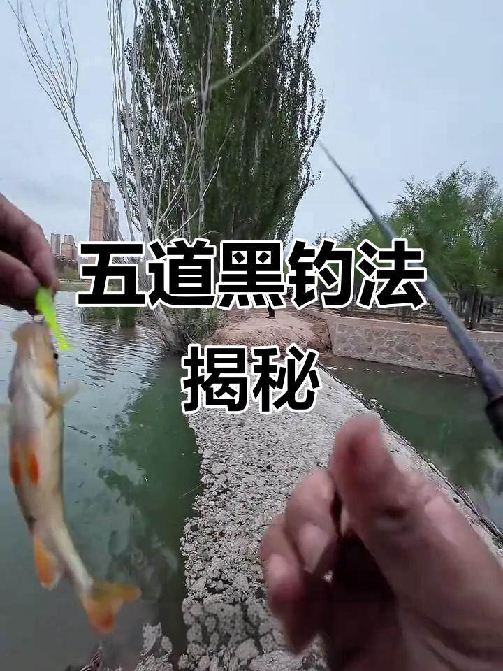 2025年五道黑晚来,桑巴爆百鱼T效果如何?