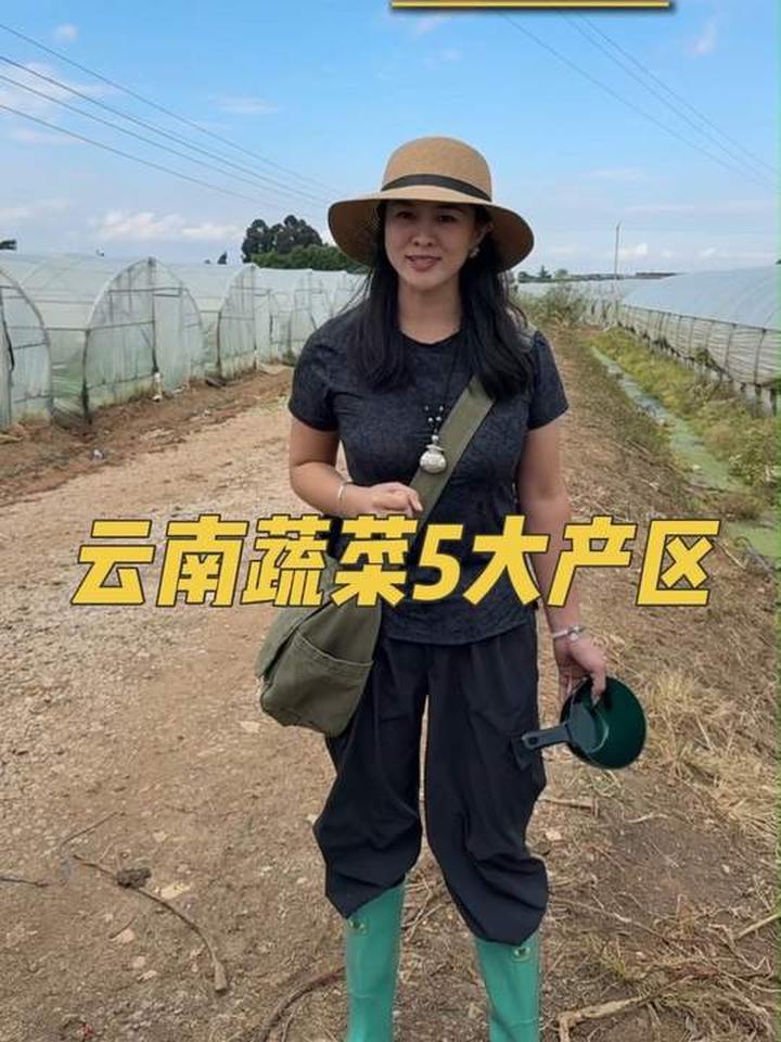 云南蔬菜5大产区，农业地标性强的好地方