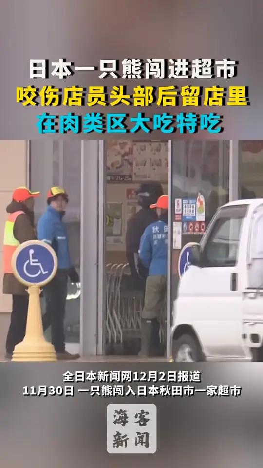 日本一只熊闯进超市 咬伤店员头部后留店里 在肉类区大吃特吃