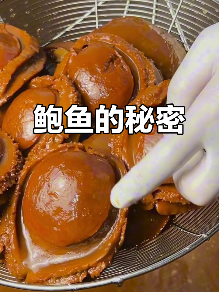 香港名媛钟爱南非鲍鱼,吃出青春永驻的秘密!