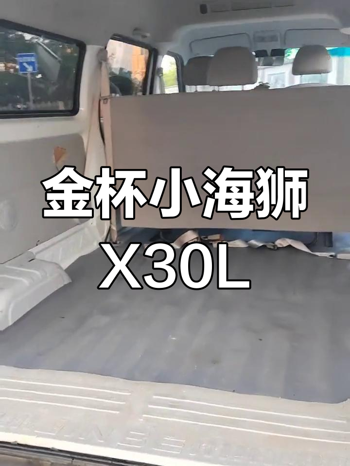 金杯小海狮X30L