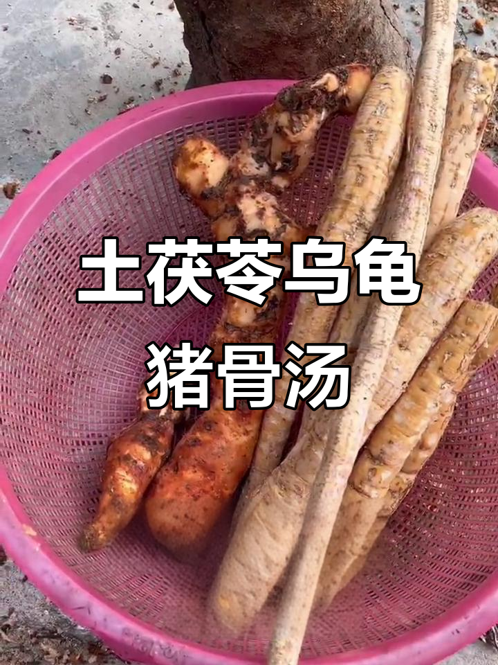 土茯苓、牛大力与乌龟炖汤,滋补效果满分