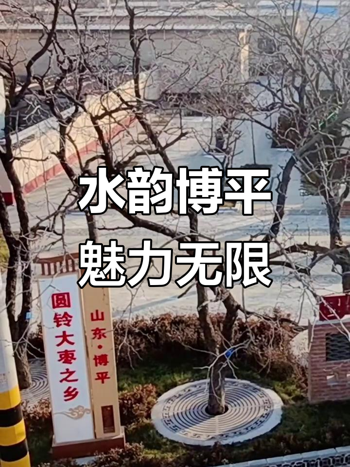探访山东博平：水韵古风与四照楼的魅力