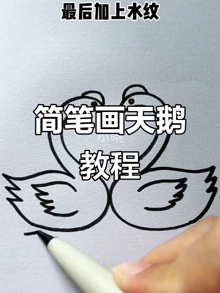 用两个S轻松画天鹅，简单又好玩