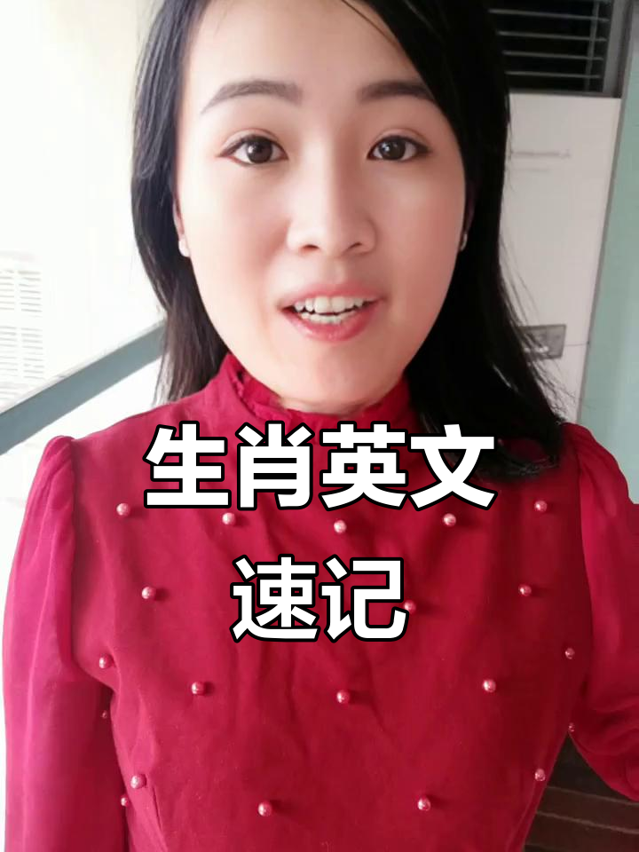 快速记住十二生肖英文,轻松掌握动物单词