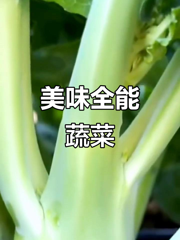 蔬菜新宠,根茎叶皆可食,脆甜可口,阳台小院都能种