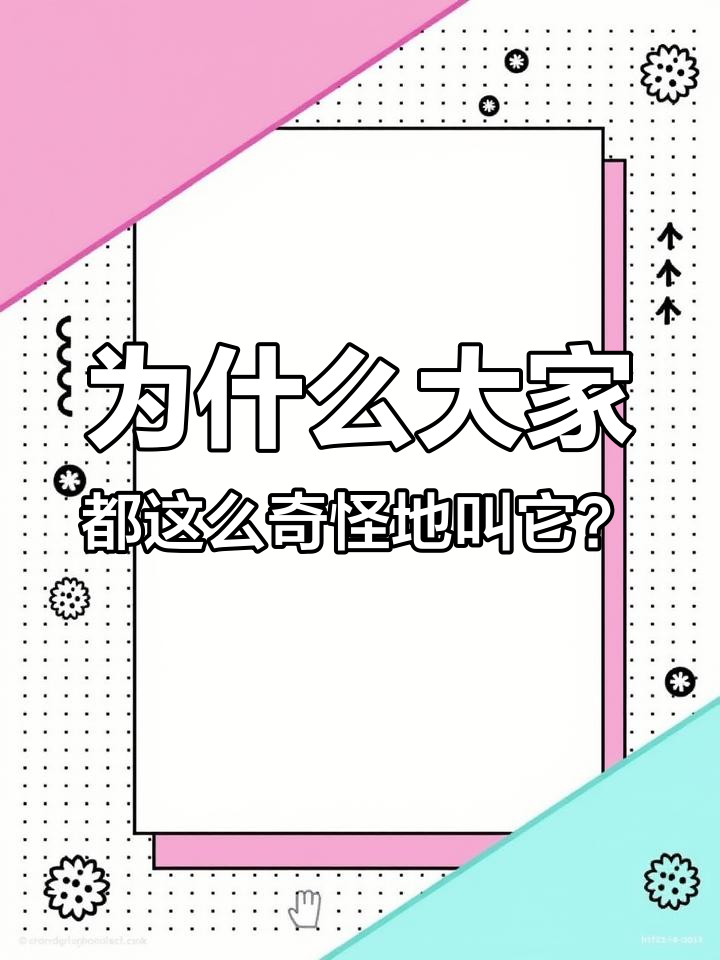 海南人叫它椰子菜,其他地方却这样称呼!