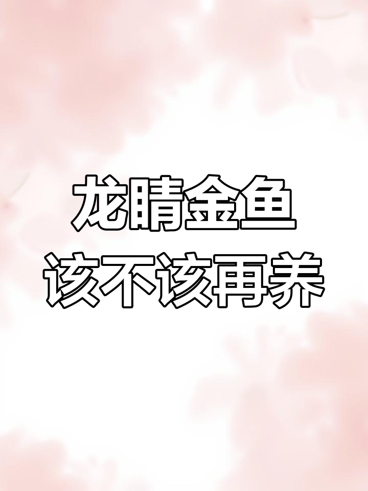 徐州特色金鱼龙睛,今年是否继续繁殖?
