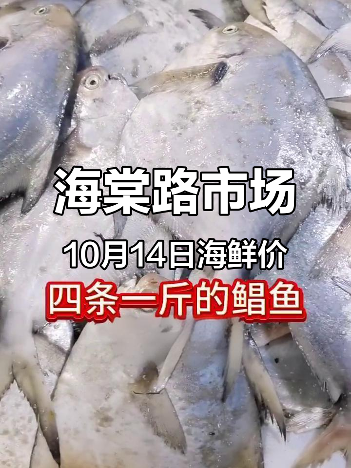 10月14日海棠路市场海鲜价揭秘,乌头鱼墨鱼等俱全