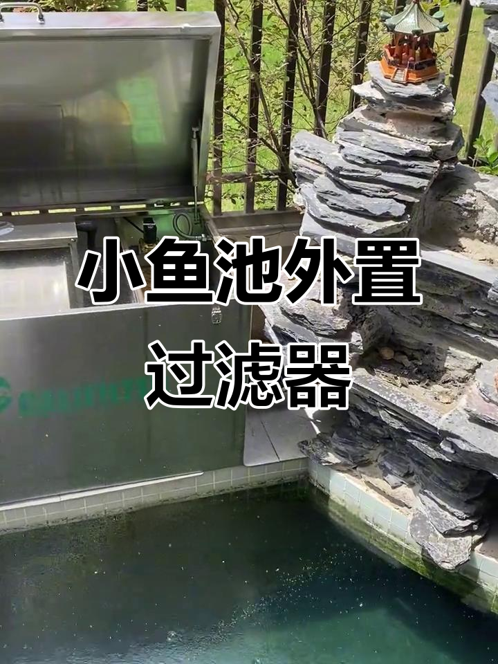庭院小鱼池过滤最简单方法,外置全自动微滤机轻松搞定
