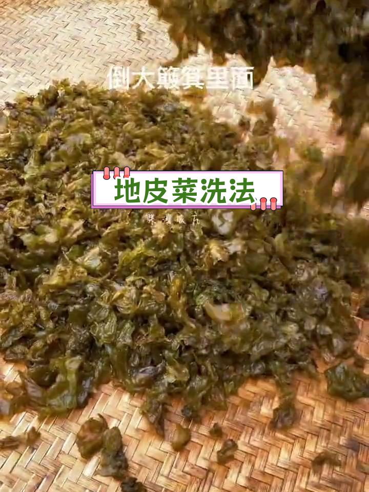快速清洗地皮菜,轻松搞定!