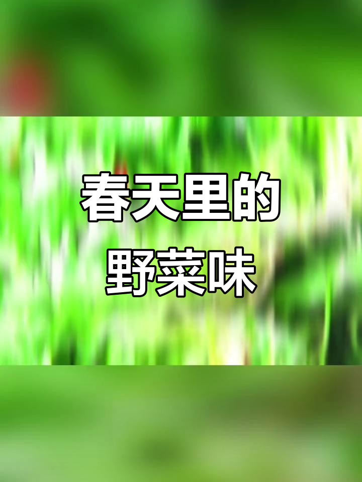 春天的野菜美味,带你品尝大自然的味道
