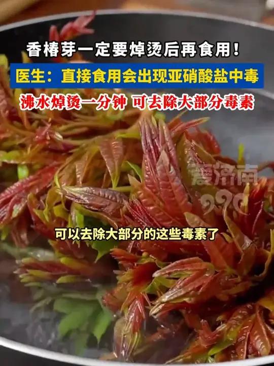 香椿芽一定要焯烫后再食用!医生提醒:直接食用会出现亚硝酸盐中毒